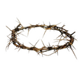 thorn crown interests