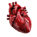 heart beloveds